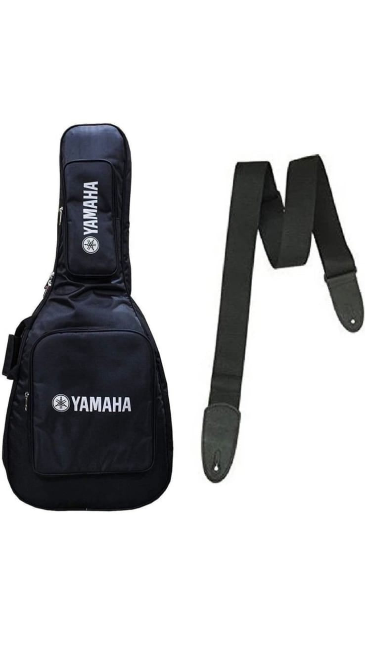 Jumbo Guitar bag