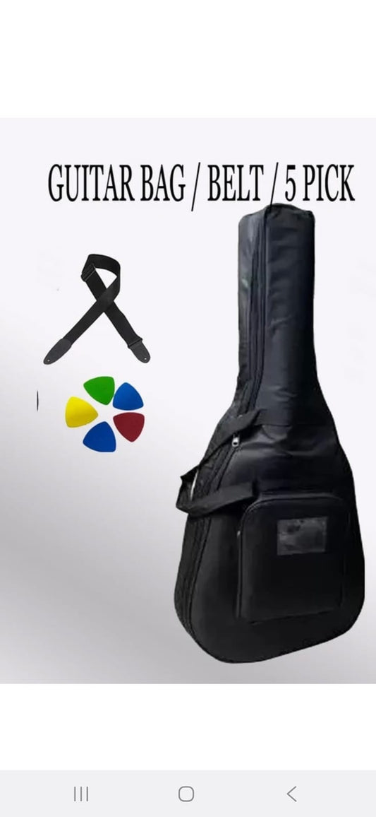 Model A33 GUITAR bag